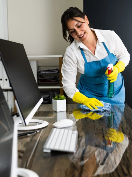 Clean society service